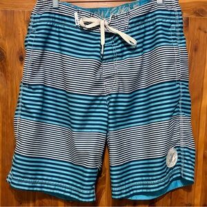 American Eagle Outfitters Board Shorts